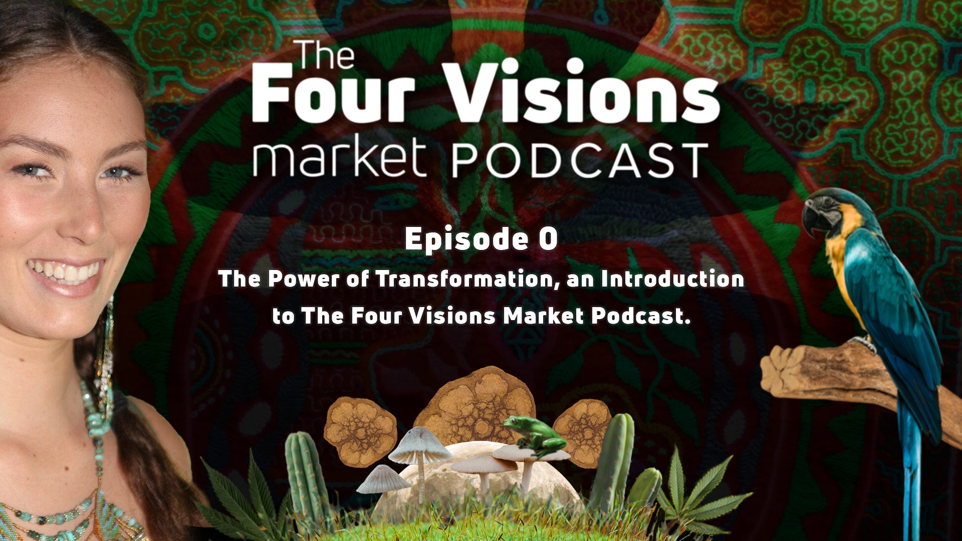 0 - The Power of Transformation, an Introduction to The Four Visions Market Podcast.