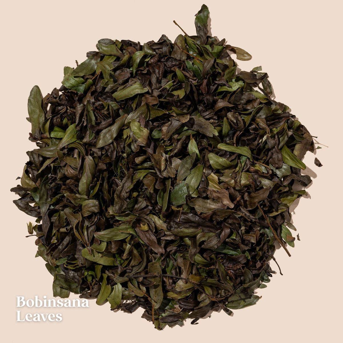 Amazonian Tea Gift Set
