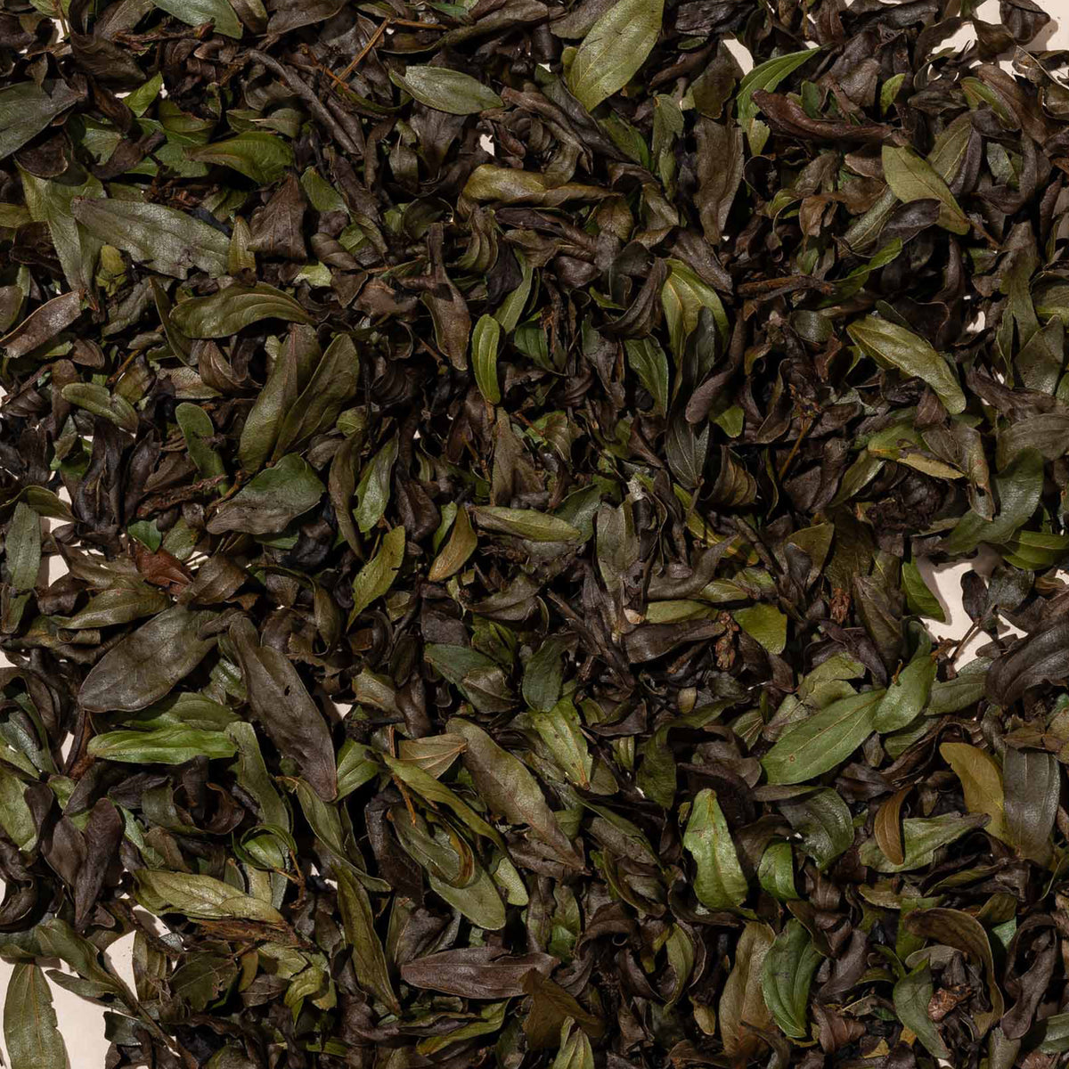 Bobinsana Leaves