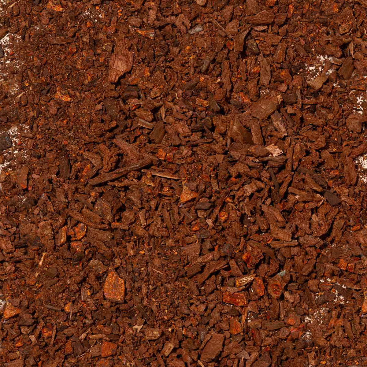 Chuchuhuasi Bark