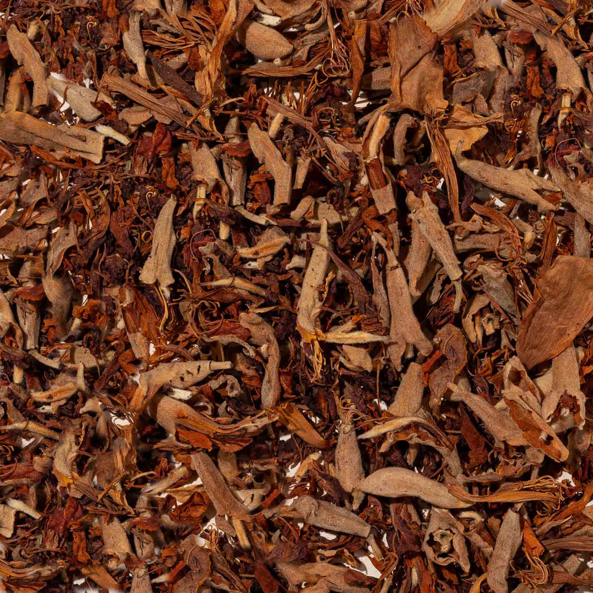 Flor de Palo Cruz