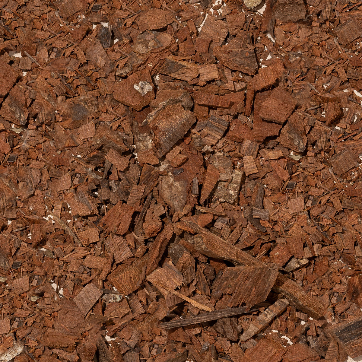 Ishpingo Bark