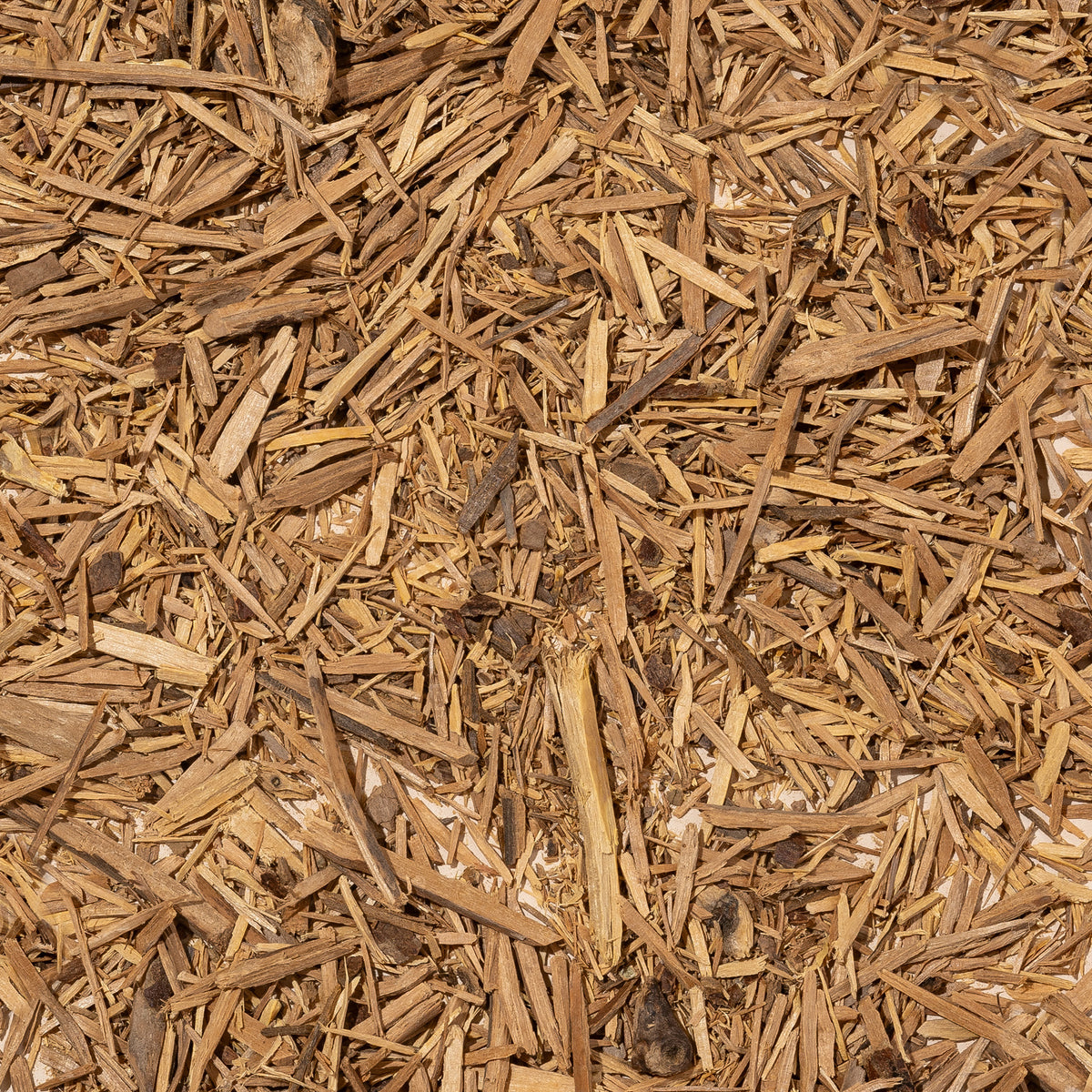 Muira Puama Root