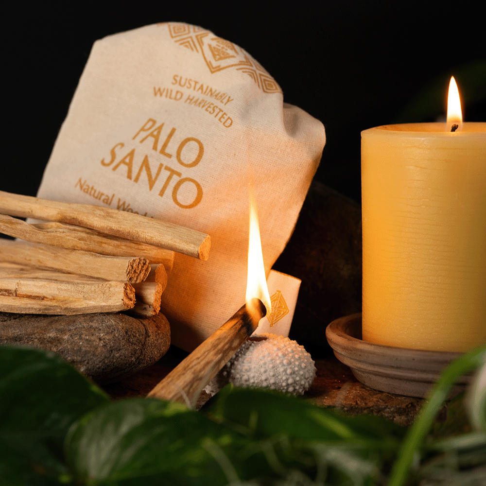 Ethically Harvested Ecuadorian Palo Santo