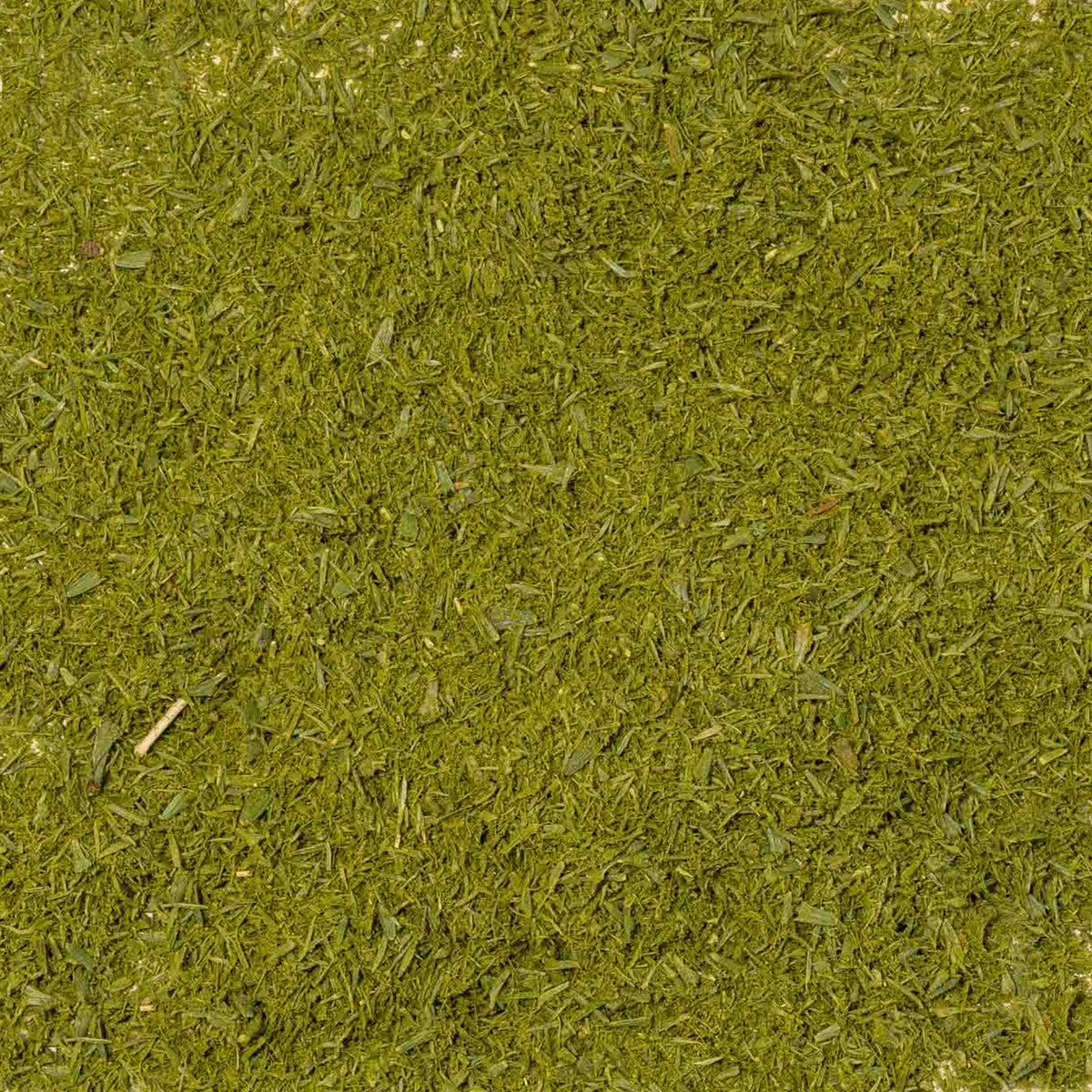 Ceremonial Cedar Powder