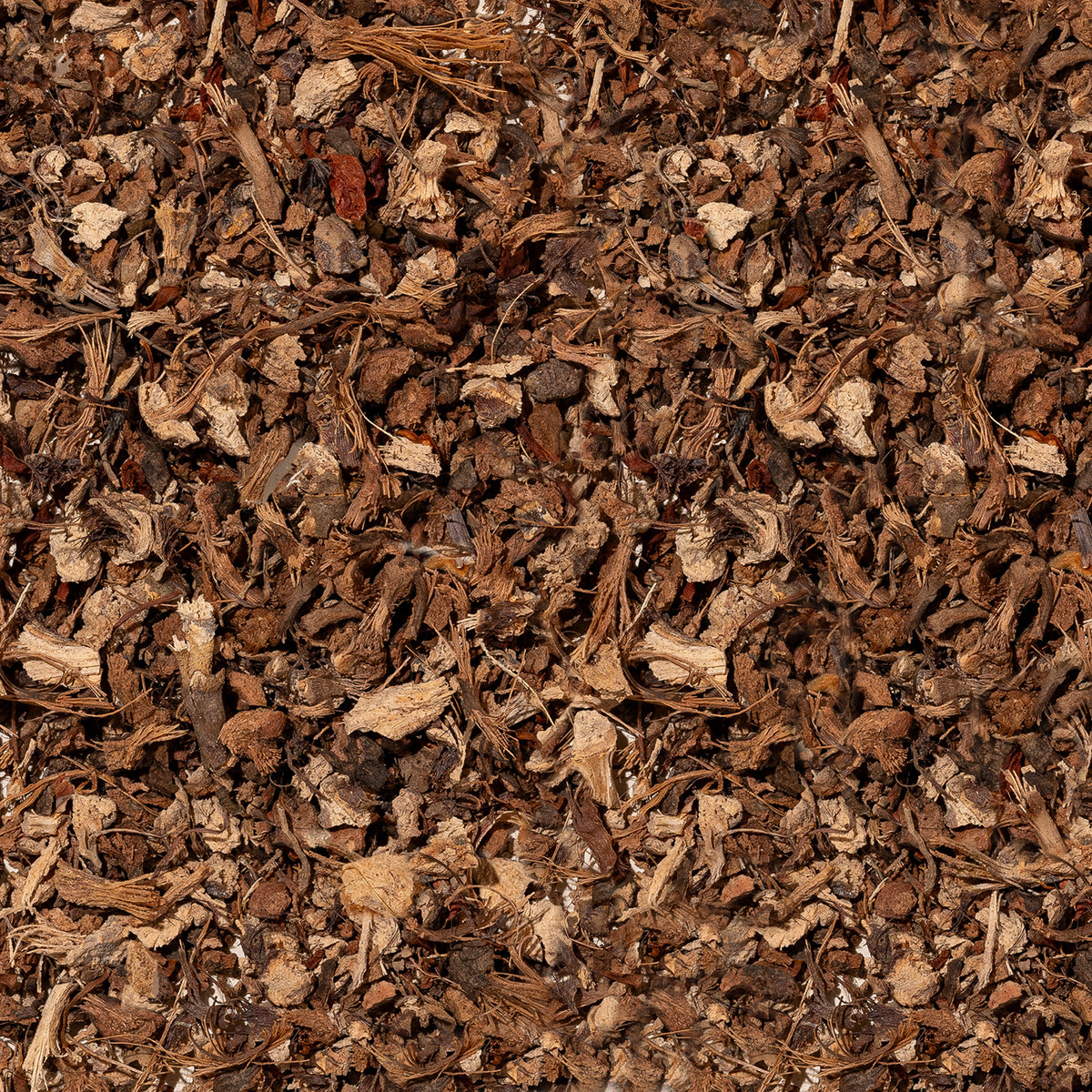 Chondur Root