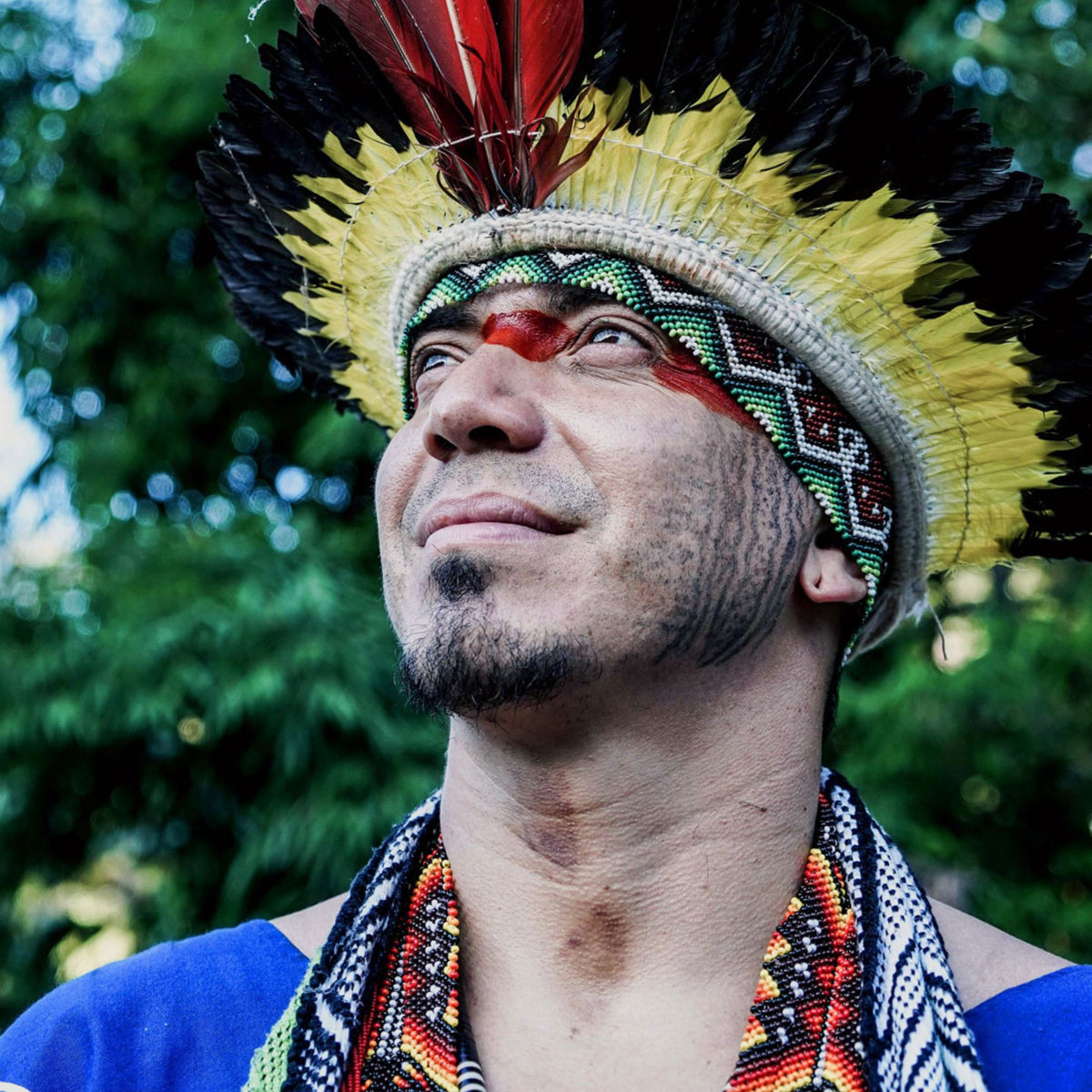 Chief Isku Kua&#39;s Children of the Rainforest Hapé