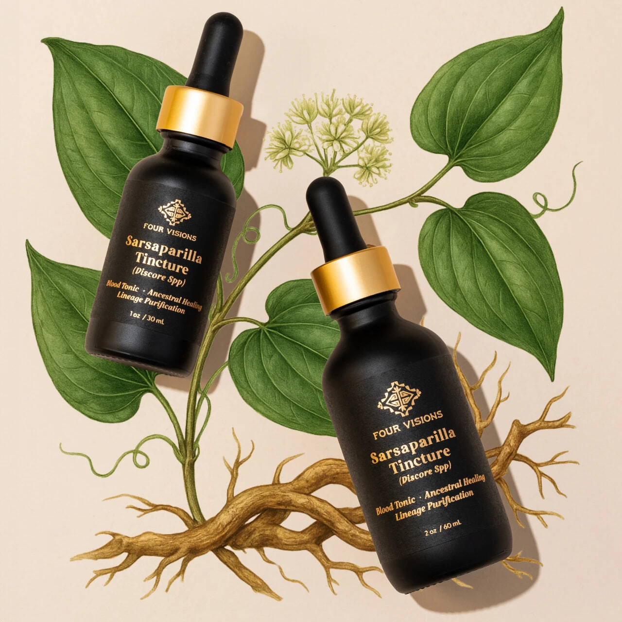 Two Four Visions Sarsaparilla Tincture bottles of different sizes.